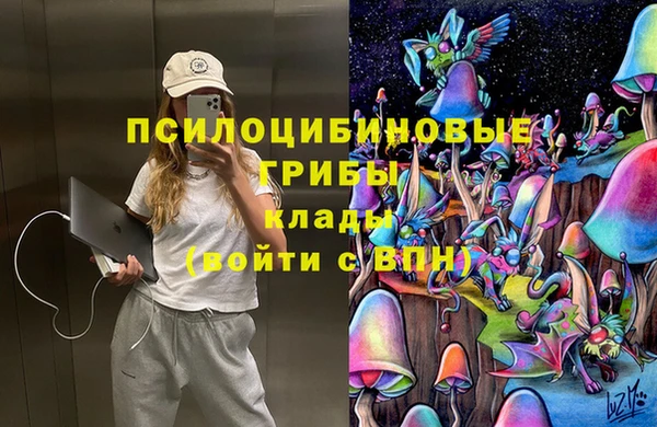 прущие крисы Алексин