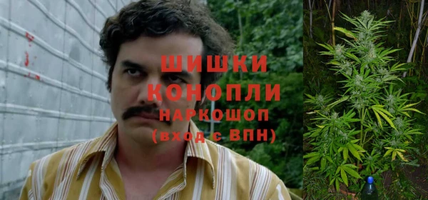 прущие крисы Абаза