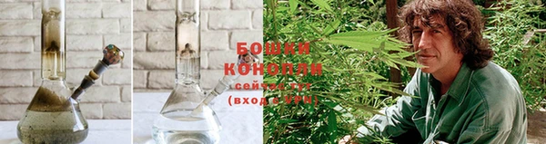 ПСИЛОЦИБИНОВЫЕ ГРИБЫ Осташков