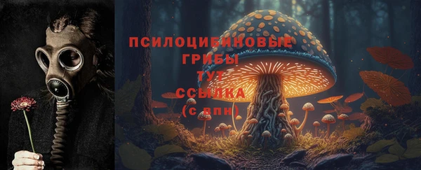 прущая мука Осинники