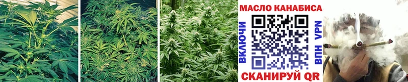 ТГК THC oil  Россошь 