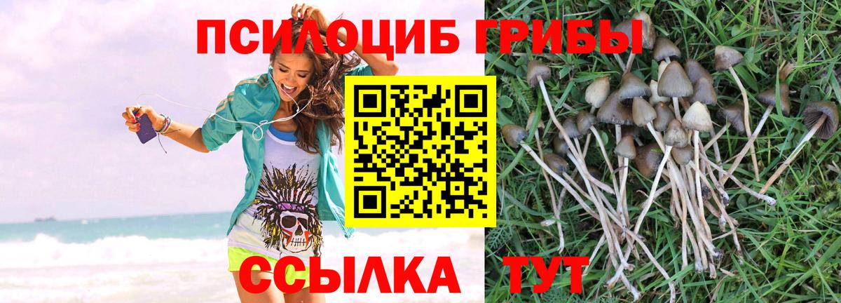 Россошь  Псилоцибиновые грибы Magic Shrooms  Вход с VPN  Галлюциногенные грибы Magic Shrooms 